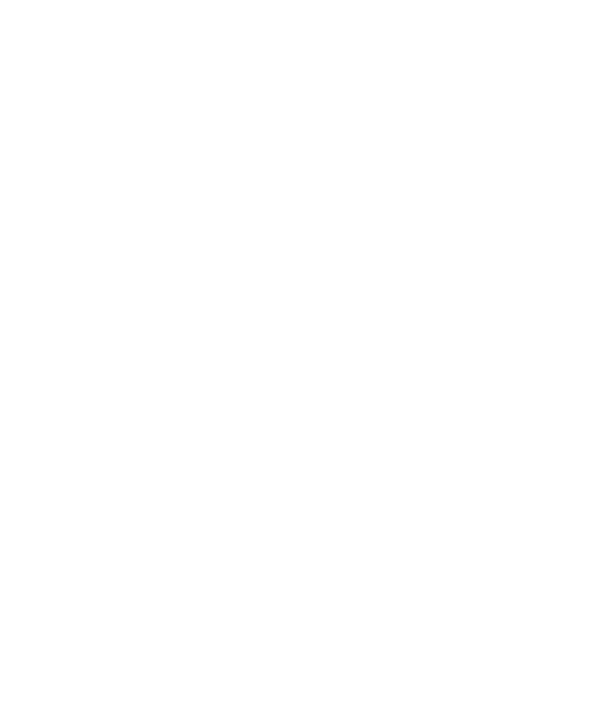 Turner Sound Lab logo